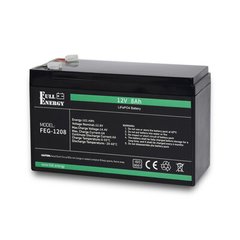 Акумулятор літій залізо фосфатний Full Energy FEG-128, 12В 8А/год