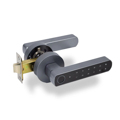 Умный биометрический дверной замок Atis Lock BT-100-T Grey