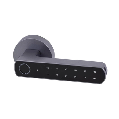 Умный биометрический дверной замок Atis Lock BT-100-T Grey