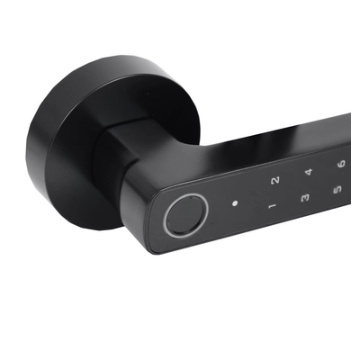 Розумний дверний біометричний замок Atis Lock BT-100-T Black