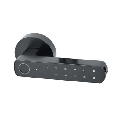 Розумний дверний біометричний замок Atis Lock BT-100-T Black